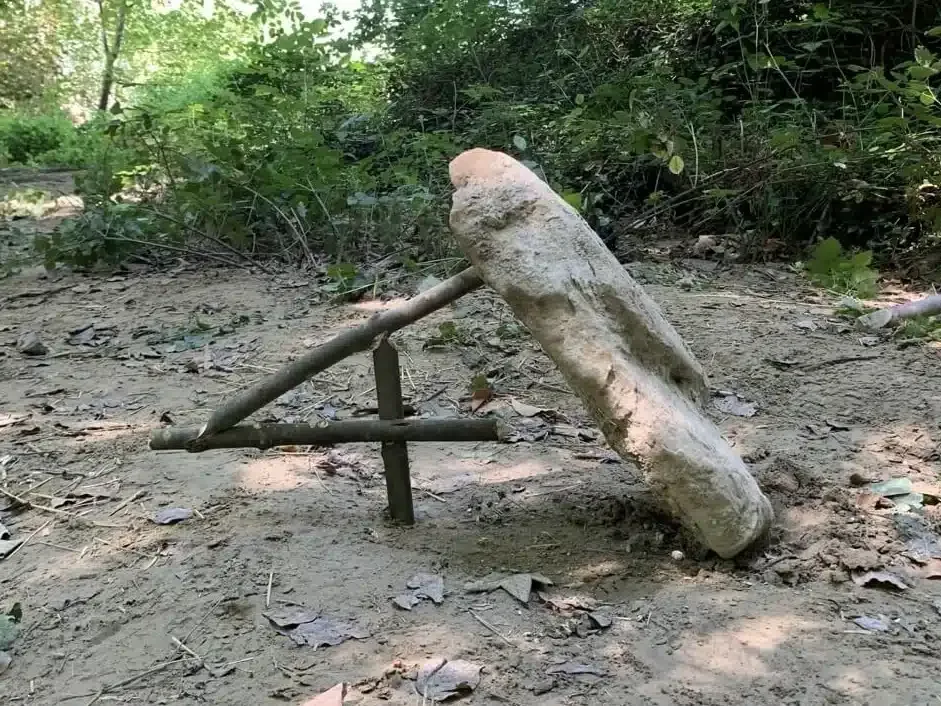 Corso di sopravvivenza PRO BOSCO PRO: extreme survival, 3 giorni sul campo