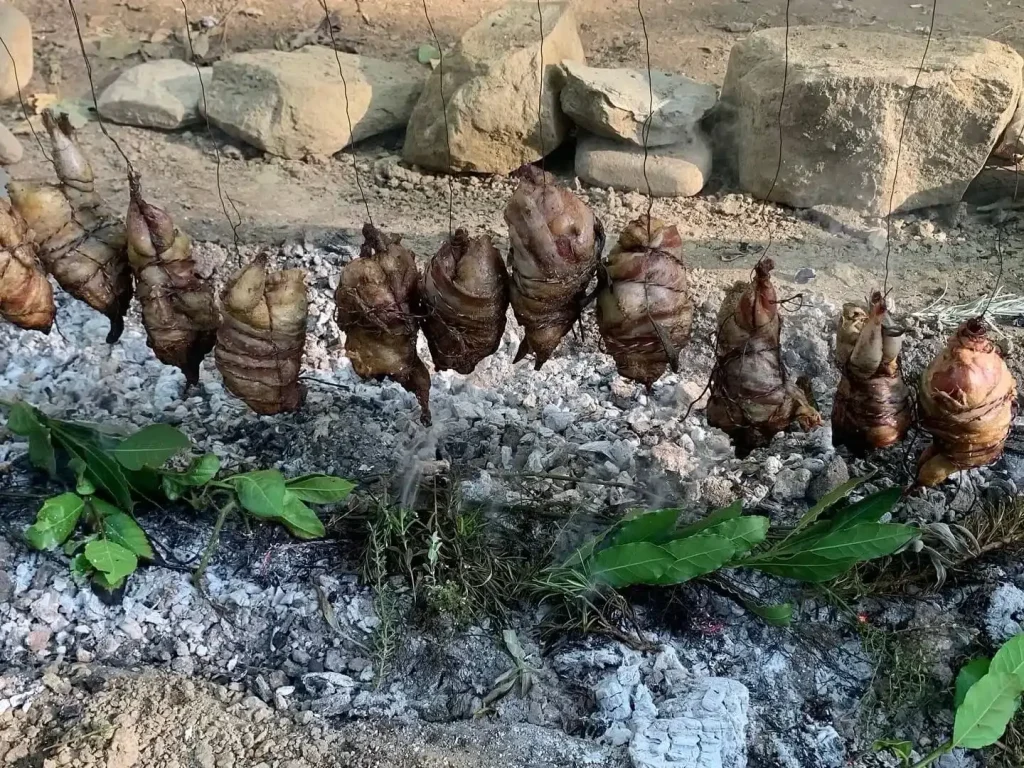 Wild food e cibo selvatico al corso di sopravvivenza PRO BOSCO PRO