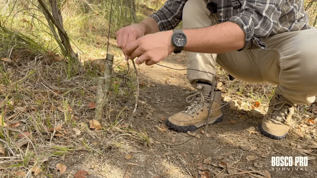 Copertina del modulo 10 del Corso Survival Online BOSCO PRO: trappole e cibo selvatico
